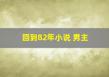 回到82年小说 男主